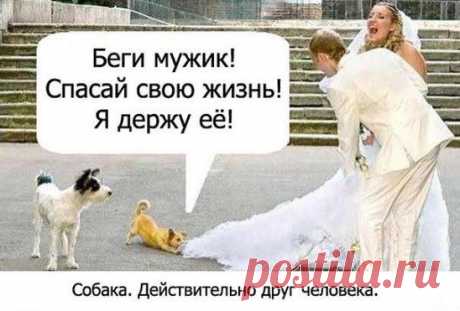 Беги мужик.