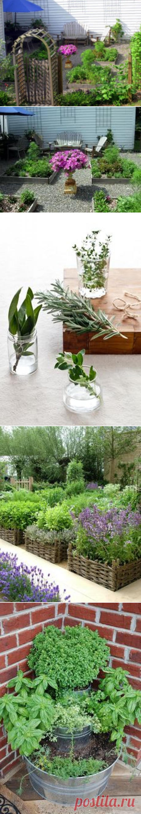 Herb Garden Layout and tips from Kevin Lee Jacobs | garden | Herbs Garden, Herbs and Gardens