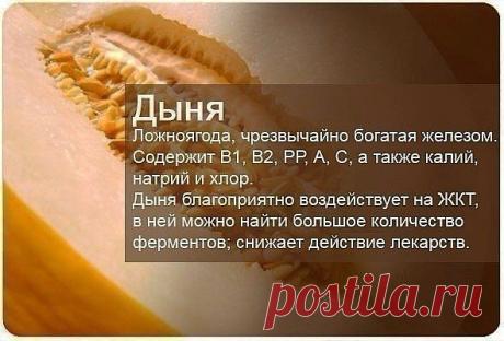Бесплатный Он-лайн Семинар -Как Сохранить и Укрепить Свое Здоровье-