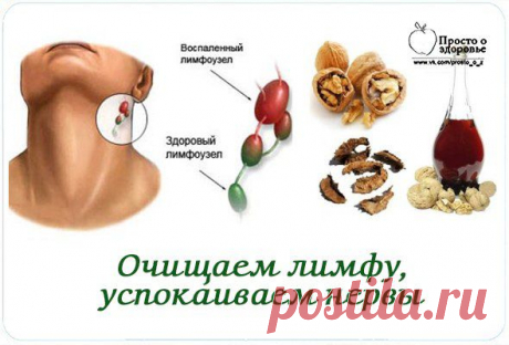 Очищаем лимфу и кровь