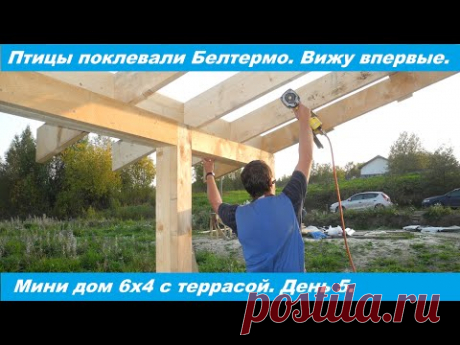 Мини дом своими руками. Птицы поклевали плиты Белтермо. День 5.