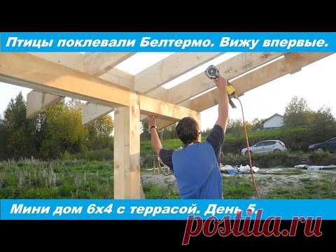 Мини дом своими руками. Птицы поклевали плиты Белтермо. День 5.