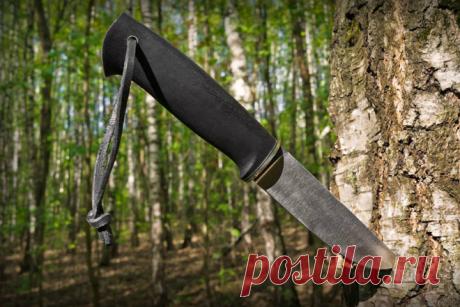 Как выжить в лесу | Делимся советами