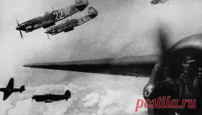 Немцы рвались к Курску, не считаясь с потерями - Исторический документ