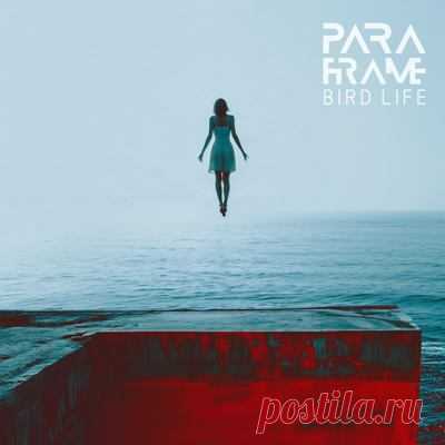 PARAFRAME, Avis Vox - Bird Life