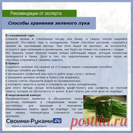 Способы хранения зеленого лука