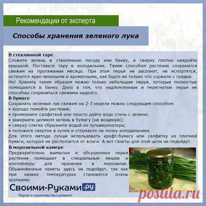 Способы хранения зеленого лука