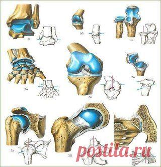 IPAR. Синтез Востока и Запада