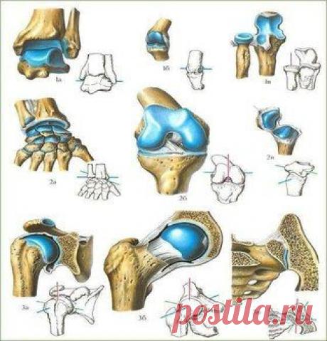 IPAR. Синтез Востока и Запада