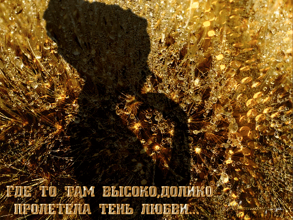 (100+) Галерея поздравлений - Группы Мой Мир