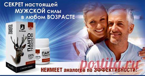 Активное Долголетие