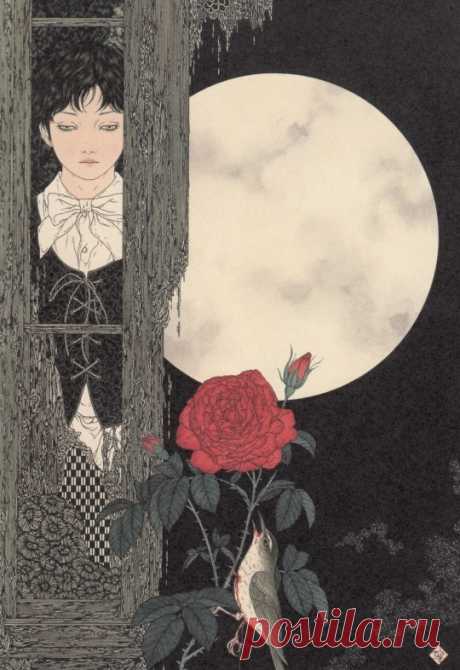 Takato-Yamamoto–Nightingale