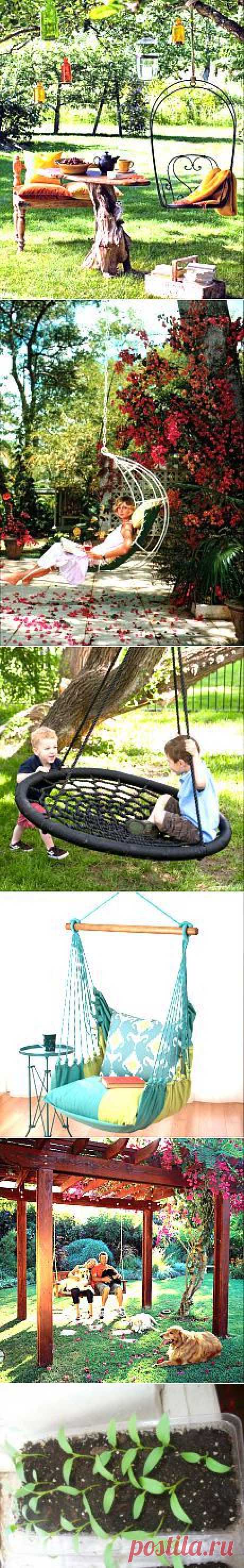 Сад и огород | Постила.ru