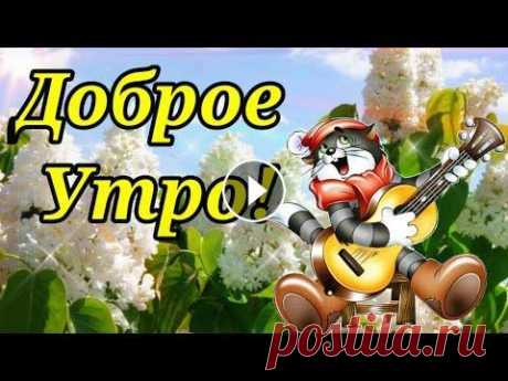 Доброе Утро! Обалденная Песня Только Послушайте!Лучшие Пожелания С ДобрымУтром Здравствуйте меня зовут Ира, я очень рада приветствовать вас на своём канале! Спасибо что смотрите мои видео и делитесь со своими друзьями! Я всегда ж...