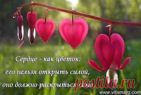 (58) Одноклассники