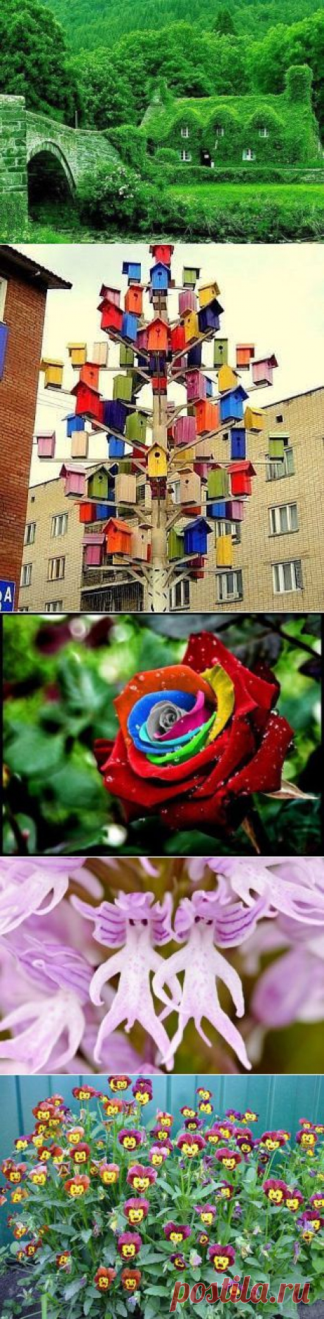 Фото смешные приколы prikoli.okis.ru