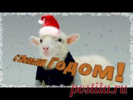 Море ПОЗИТИВА для Новогоднего настроения !