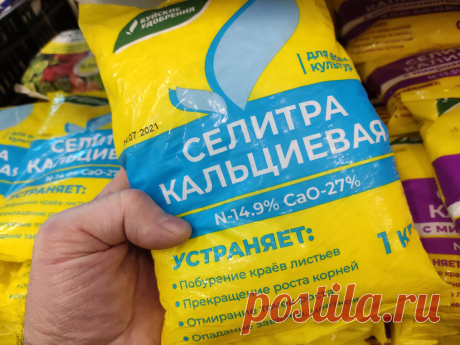 Как китайцы каждую весну &quot;перезаряжают&quot; грядки в огородах и теплицах: в этом году всем пригодится | Стеклянная сказка | Яндекс Дзен