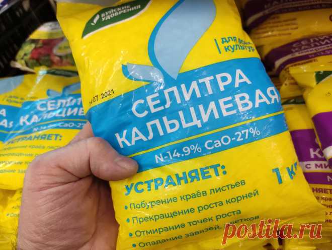 Как китайцы каждую весну "перезаряжают" грядки в огородах и теплицах: в этом году всем пригодится | Стеклянная сказка | Яндекс Дзен