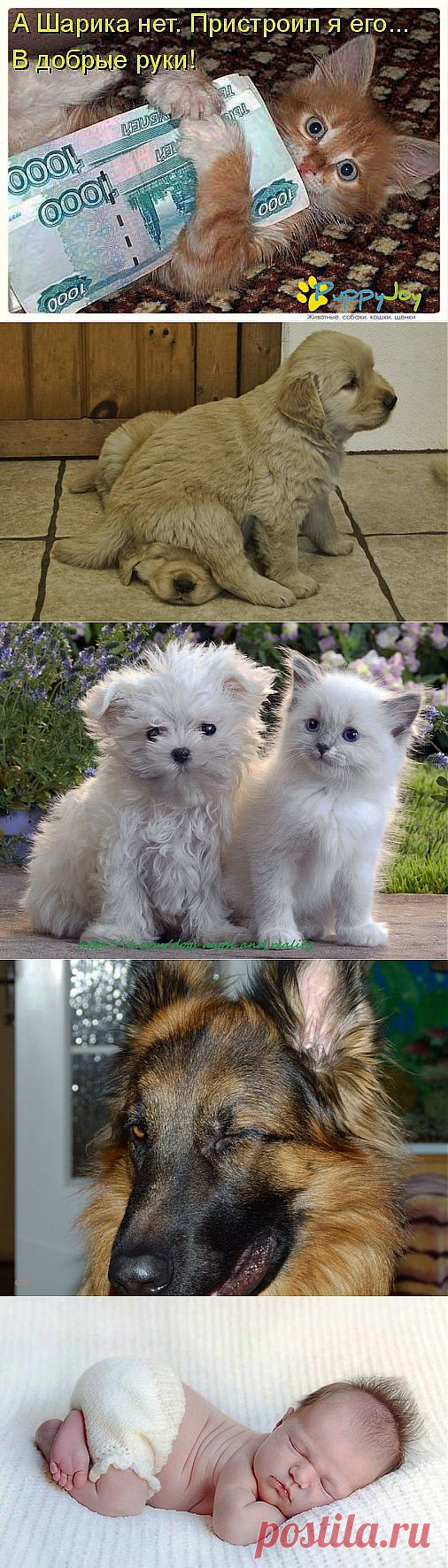 Елена Иванова