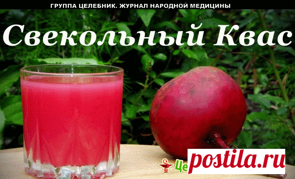 Свекольный квас – это целительный бальзам!
Он чистит организм от шлаков. Почки освобождаются от камней, кишечник от гнилостных брожений, сосуды от закупорок, а печень от всего ненужного.

И зачем покупать дорогие лекарства, если есть такой недорогой способ очищения организма?!

Существует два основных способа приготовления свекольного кваса: бездрожжевой и дрожжевой.

Бездрожжевой способ, очевидно, является более древним, но вместе с тем и более долгим: квас будет готов че...