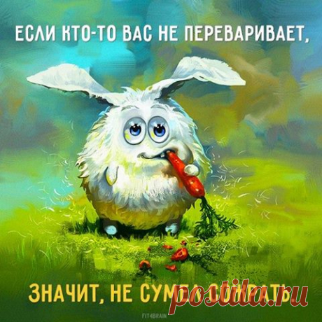 (18) Facebook
