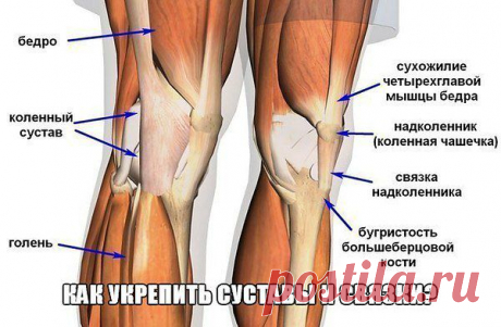 Интересные новости