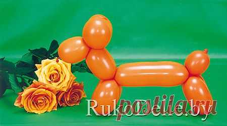 Собачка - базовая модель скручивания из воздушных шариков :: Моделирование из воздушных шариков :: Поделки для детского творчества :: RukoDelie.by