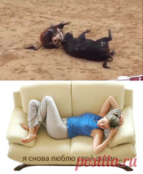 Эта таблица поможет быстро удалять пятна