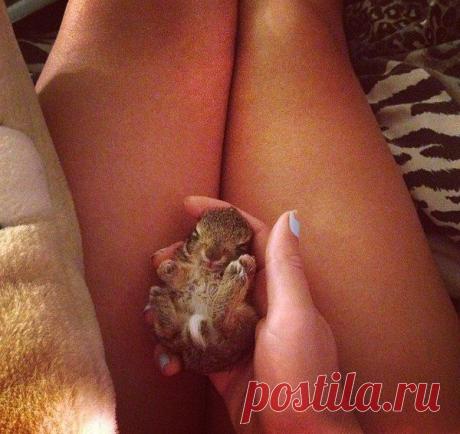 Стопкадр