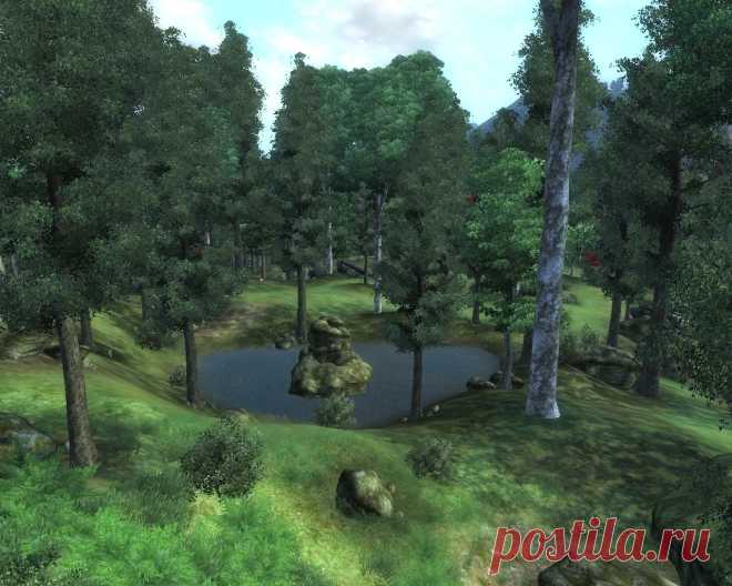 Тенистая роща (Shadeleaf Copse). В сущности, небольшое озеро в Великом лесу к северо-востоку от Скинграда. Здесь Синдерион из таверны Западный вельд порекомендует начать поиск корней Нирна по своему квесту.
