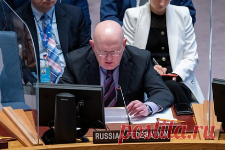 Небензя прокомментировал отказ СБ ООН принять проект резолюции России по Газе. Постоянный представитель РФ при всемирной организации Василий Небензя заявил, что западные страны в ООН не поддержали проект резолюции по Ближнему Востоку, потому что он был разработан Россией. Он подчеркнул, что в документе нет ничего, что можно было бы оспорить, поскольку резолюция «носит чисто гуманитарный характер»