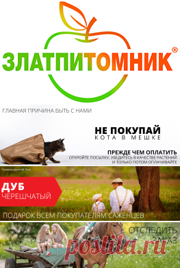 Саженцы плодовые и ягодные почтой - Интернет-магазин 