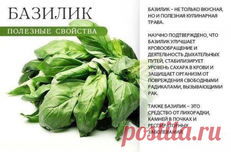 (1) Страницы
