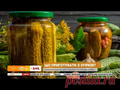 Готовим малосольные огурцы с садовой блогеркой Антониной Лесик