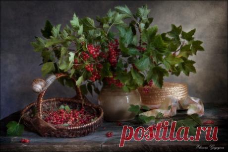 30 невероятно нежных натюрмортов изумительной красоты