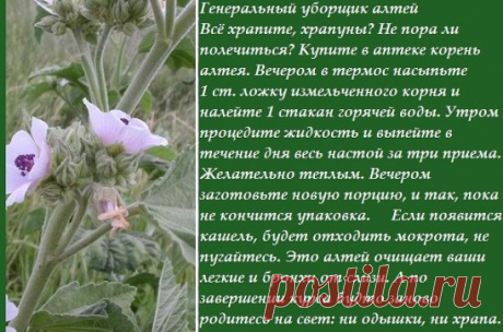 Всё ещё храпите, храпуны?