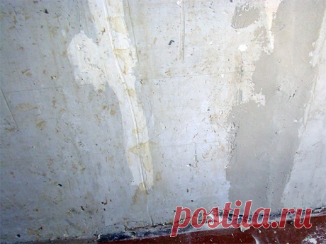 Неровные стены: чем выровнять?

Первейшая проблема, возникающая при ремонте жилища – неровные стены. Они встречаются не только в старых постройках, но даже и в современных новостройках. От качества стеновой поверхности будет зависеть не только визуальное восприятие, но и количество строительного материала, необходимого для выравнивания.