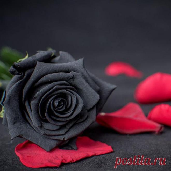 Стираем грани (Клари Сс) / Стихи.ру