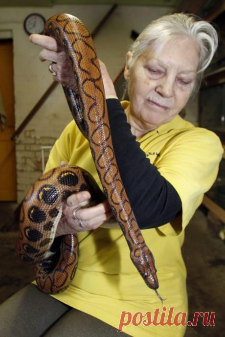 Миллионы на хобби: как английская пенсионерка стала повелительницей змей