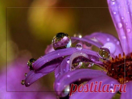 Фотографии zoja simonova - 6136 фото в Моем Мире.