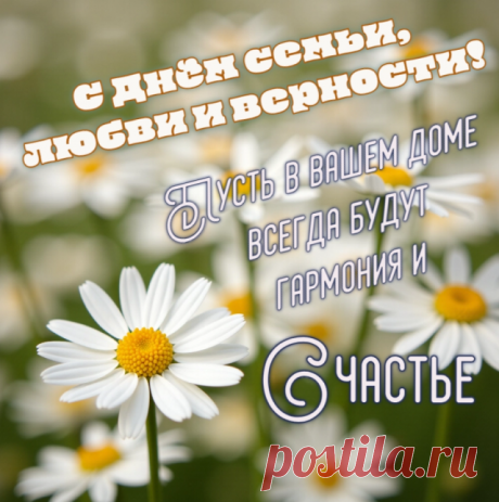 Нежность и ромашки. Яркие открытки ко Дню семьи, любви и верности | АиФ Челябинск