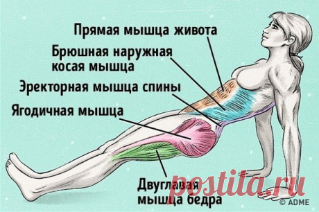 Упражнение, которое поможет сжечь жир и исправить осанку
