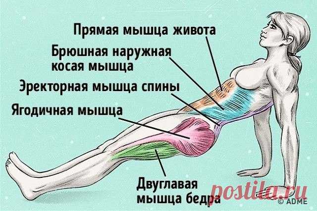Упражнение, которое поможет сжечь жир и исправить осанку