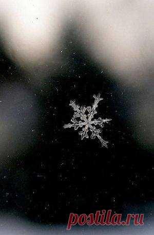 (2) Facebook