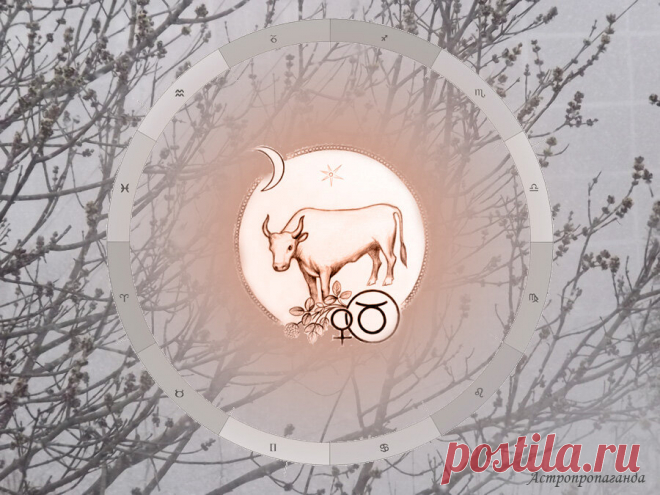 Гороскоп для Тельца с 7 марта по 3 апреля 2022 | Нина Стрелкова. Астропропаганда | Яндекс Дзен
♉✨ Автор: астролог Нина Стрелкова. ✧ Соединение Венеры с Марсом, а затем конфликт ее с Ураном, находящимся в вашем знаке не очень хорошо может отразиться на вашей личной жизни и работе, вы можете стать слишком резкими, нетерпимыми, конфликтными. Нужен самоконтроль, осторожность и больше позитива...
