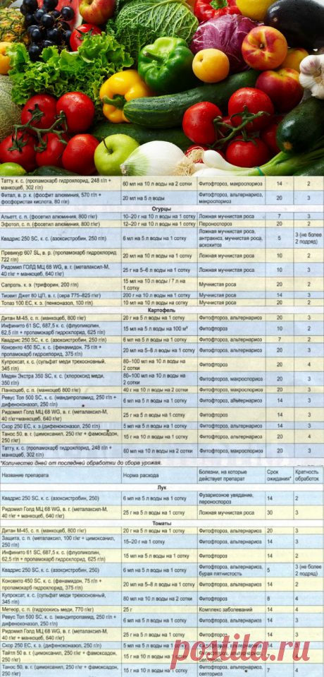 Чего ждать в новом сезоне