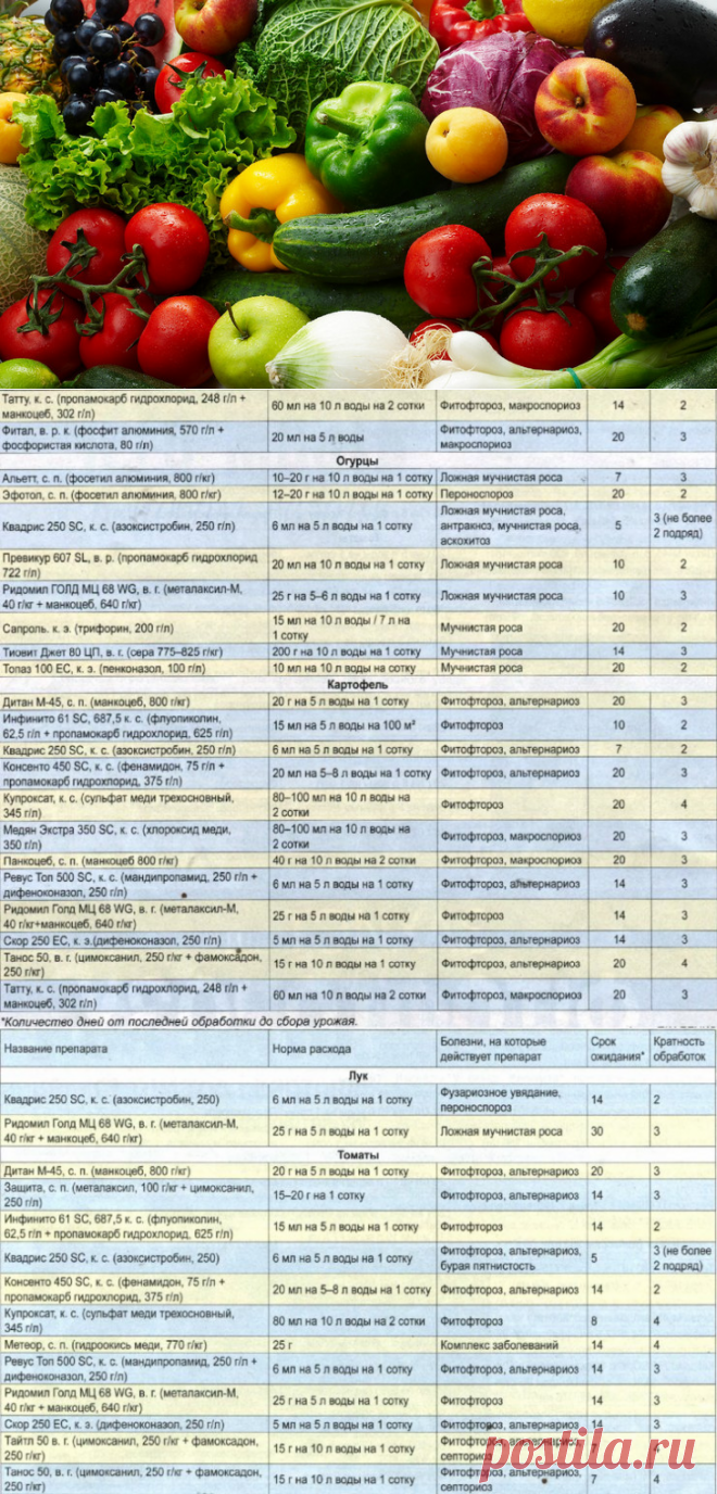 Чего ждать в новом сезоне
