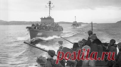 «Неоценимое содействие»: историк Алексей Комаров — об освобождении советскими войсками Норвегии от нацистов. 80 лет назад, 16 мая 1944 года, страны — члены Антигитлеровской коалиции, в том числе Советский Союз, подписали соглашения с правительством Норвегии в изгнании о гражданской администрации и юрисдикции на территории страны после её освобождения от нацистов. Эти документы позволяли союзникам по Антигитлеровской коалиции ввести в Норвегию свои войска, а их командованию — осуществлять…