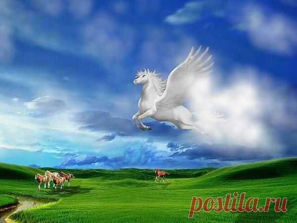 Мифы и реальность